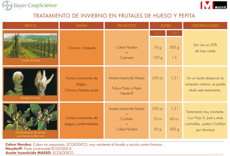 Tratamiento de Invierno en Frutales de Hueso y Pepita - Agralia Jardín