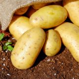 Guía para cultivar patatas