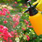 Cómo elegir insecticidas para controlar las plagas del huerto o jardín