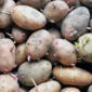 Cómo evitar los brotes de las patatas y las manchas verdes