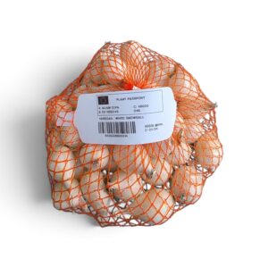 Compra bulbos de cebolla blanca Snowball en Agralia Jardín. Variedad temprana y redonda que se adapta a todo tipo de suelos. ¡Ideal para consumo en fresco!
