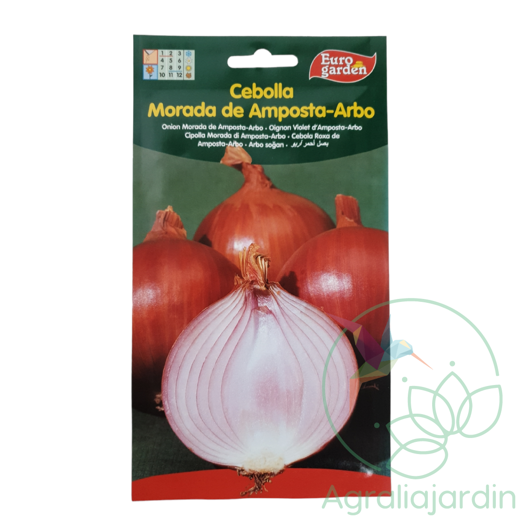 Semilla de cebolla morada de Amposta-Arbo Eurogarden Agralia