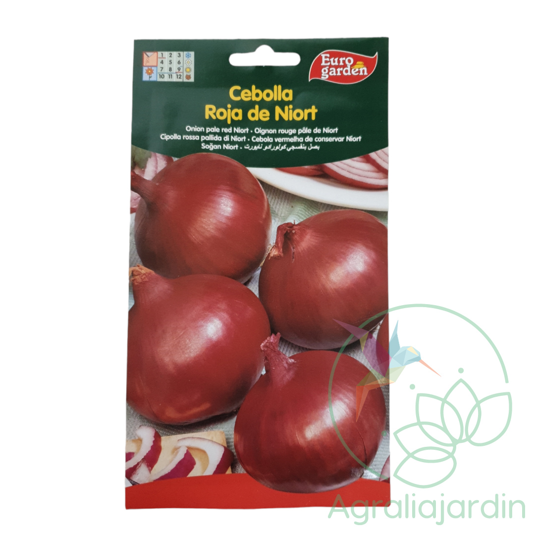 Semilla de cebolla roja de Niort Eurogarden Agralia