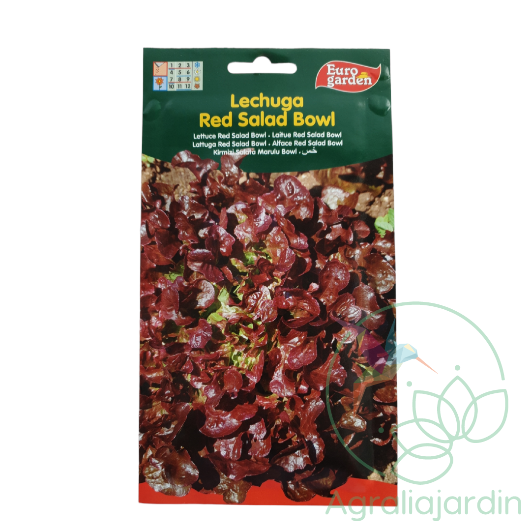 semillas de lechuga Red Salad Bowl Agralia