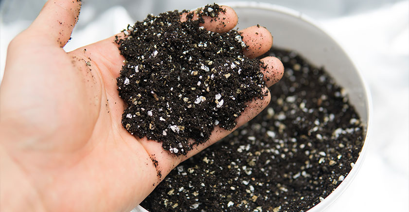 Usos de Perlita y Vermiculita en Tu Jardín